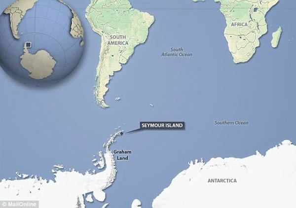 ��ʯ�����ϼ��뵺����Ħ���Ϸ��ֵ�