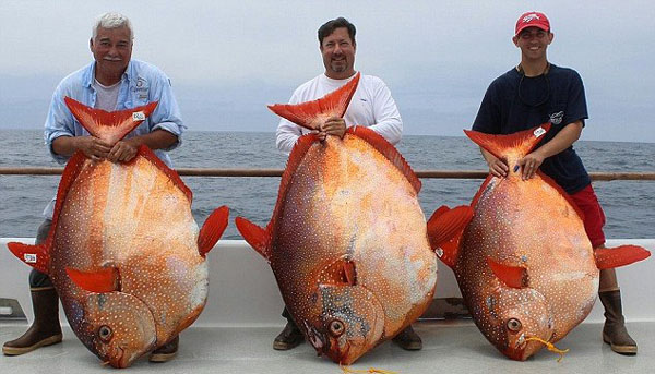 �����洬�ڼ������������ϲ�����һ���ڲ���3������������