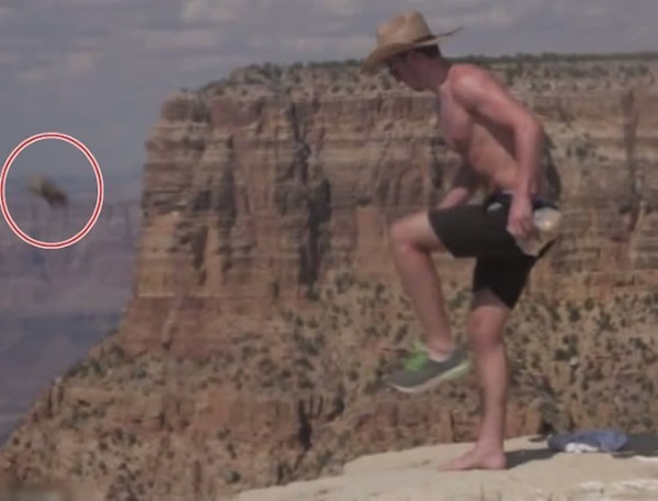 ��������Ȩ����֯PETA����15000��Ԫ�������������Ͽ�ȵ�����