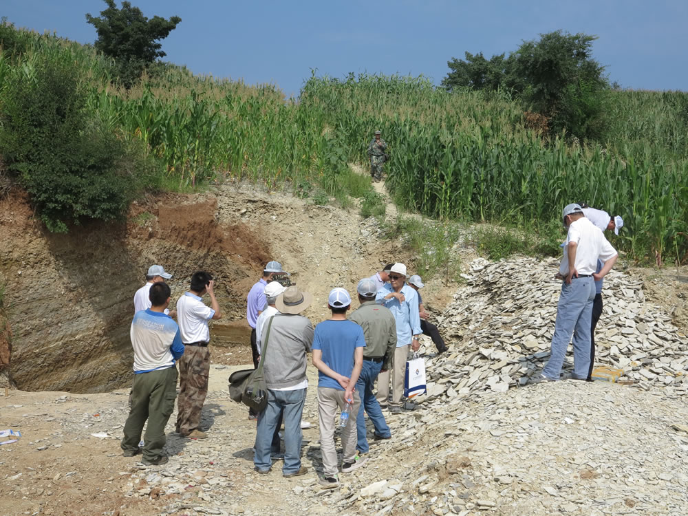 首个国家级重点古生物化石集中产地详查项目通过验收