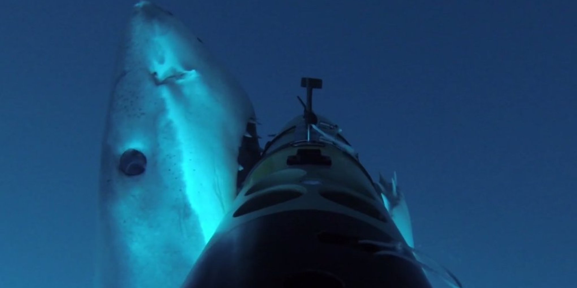 ��ī����Ĺϵ�³�յ��⺣�ĵ�һ����������ҹ�����REMUS������Ӱ������ REMUS SharkCam ����ӰƬ