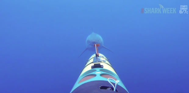 ��ī����Ĺϵ�³�յ��⺣�ĵ�һ����������ҹ�����REMUS������Ӱ������ REMUS SharkCam ����ӰƬ