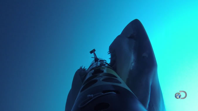 ��ī����Ĺϵ�³�յ��⺣�ĵ�һ����������ҹ�����REMUS������Ӱ������ REMUS SharkCam ����ӰƬ