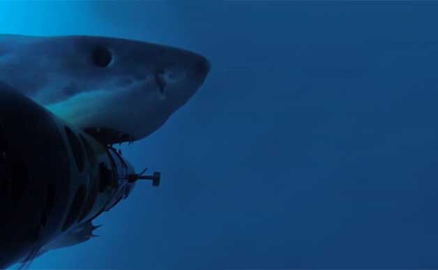 ��ī����Ĺϵ�³�յ��⺣�ĵ�һ����������ҹ�����REMUS������Ӱ������ REMUS SharkCam ����ӰƬ