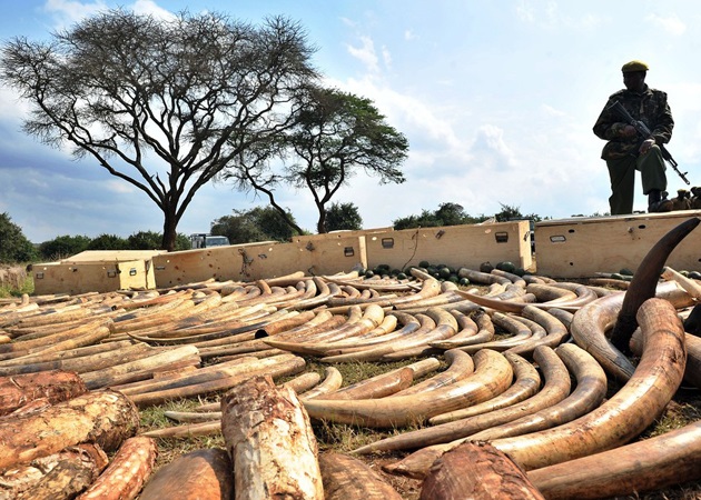 �����ǵķǷ�������������