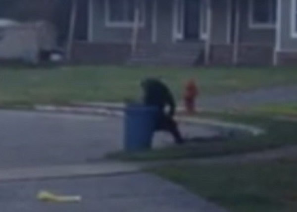 �������������峿���֡���Ź֡���ԭ���Ǻ�������ֱ������