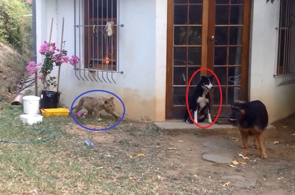 Сʨ(Ȧ)߽Ȯ(Ȧ)Ȼ֪