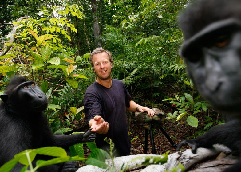 摄影师斯莱特亦成为黑冠猕猴的拍摄对象之一。