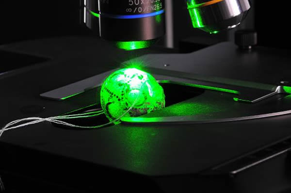 拉曼光谱现场测试照片