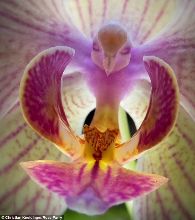 �µ����������еġ�С��