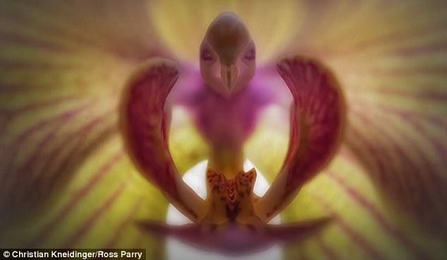 �µ����������еġ�С��