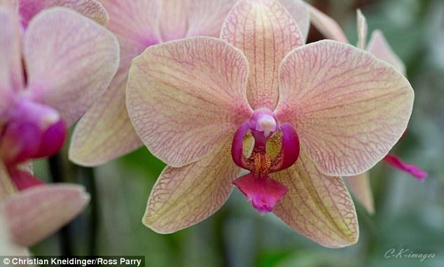 �µ����������еġ�С��