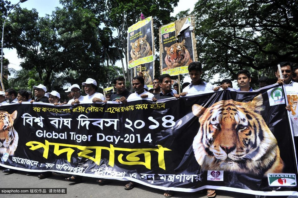 �ϼ����������ڽ��Ͼ���������ף�￨ȫ���ϻ��ջ