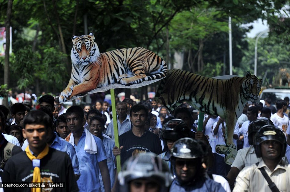 �ϼ����������ڽ��Ͼ���������ף�￨ȫ���ϻ��ջ