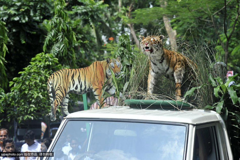 �ϼ����������ڽ��Ͼ���������ף�￨ȫ���ϻ��ջ