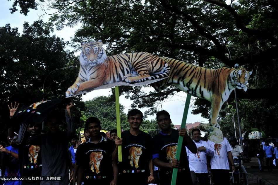 �ϼ����������ڽ��Ͼ���������ף�￨ȫ���ϻ��ջ