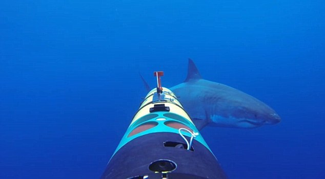 ����������ʶ�������˳�����ʳ��ʱ���Ϳ�ʼ���𹥻������������ء������Ƶ�����ڽ�ʾ������ˮ������β��Եġ�