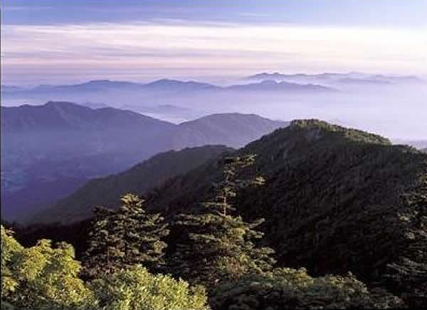 韩国学者称,民间流传着智异山上住着神猴的传说。图为韩国智异山。