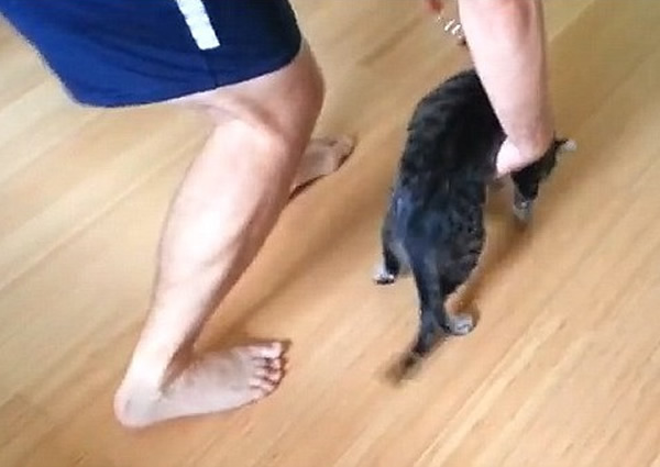 主人提起埃贡的身体,希望它能站起步行数步。