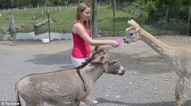 ����԰¿�ӽ���ʱŭ�������ҵ���