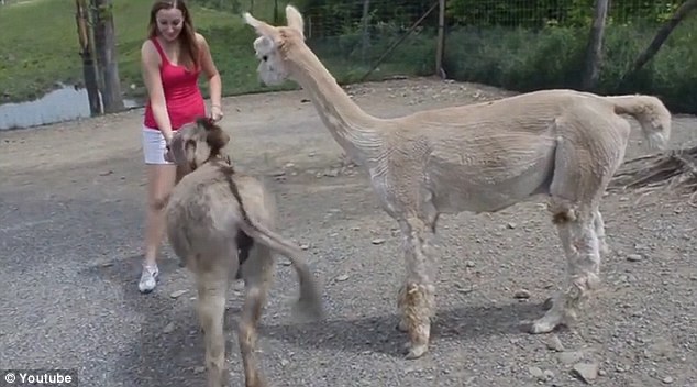 ����԰¿�ӽ���ʱŭ�������ҵ���