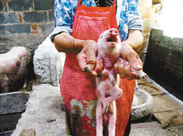 �����ϴ��������ʯ�Ӵ循��8���ȵ�С��