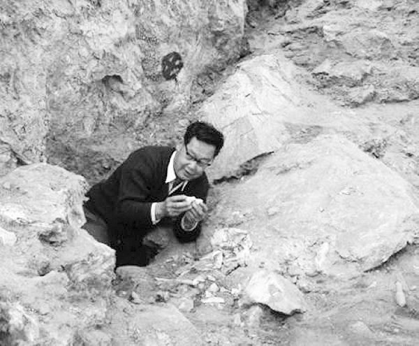 吕遵谔教授在清理“金牛山人”