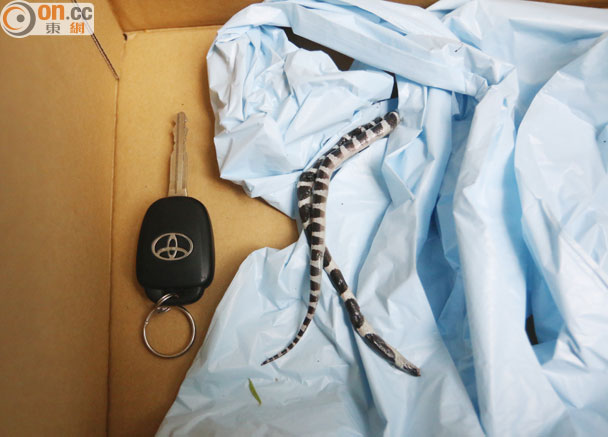 ����ƹ��¶����� ҧ�������Ŵ����Լ�Ҳ���ܾ綾����