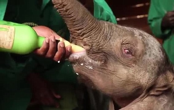 ������Ա����ι�̸�С���