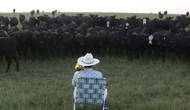 ţȺ�ų����������������ǿ��ָ�����֪���ˡ�