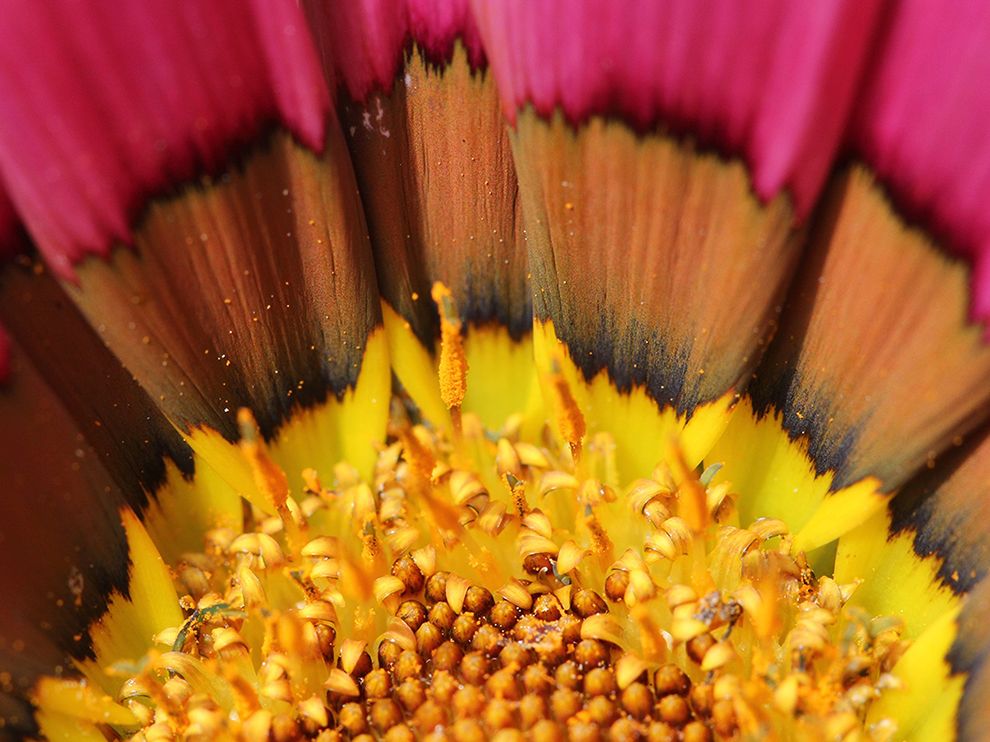 ΢����Ӱ��������һ�仨�Ļ��������ڻ�����