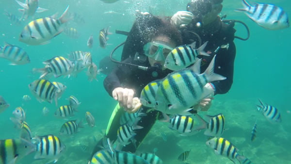 ̨ʮס롷ĿļϵнĿ塱