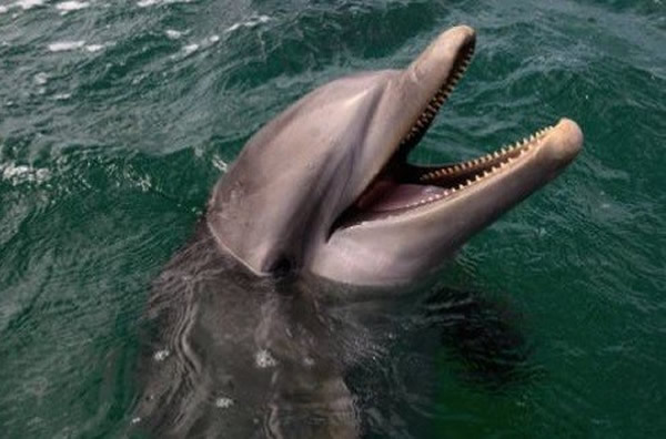 �������ƿ˿����з�������Ϯ���˵��¼�