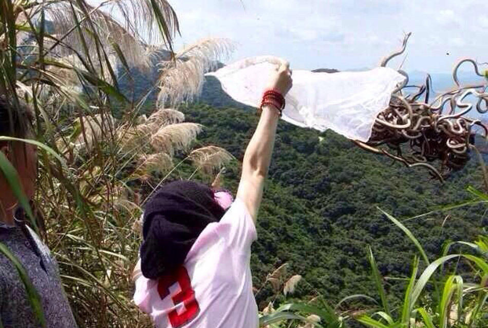 深圳网友大量放生毒蛇野兽引争议