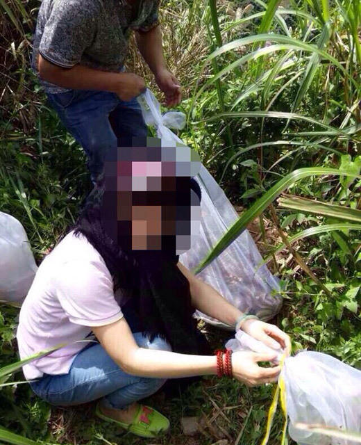 深圳网友大量放生毒蛇野兽引争议