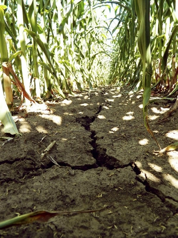 重大气候波动触发的干旱压力影响古代近东地区的许多农业定居点