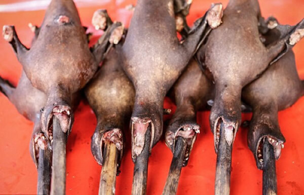 ӡ��������Ĳ��г�������ն�ϵ��߿�ͻ��ϲ��յ�����ȸ��ֿ�����ʳ