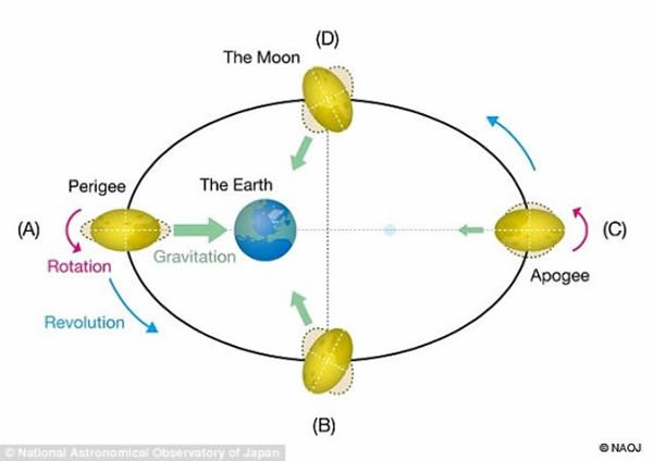 太空中的任何两颗天体彼此间都会产生引力拖拽效应。由于没有一条轨道是完美圆形，引力会随着两颗天体之间的距离变化发生改变。这种效应在一些卫星身上表现的非常明显，例如