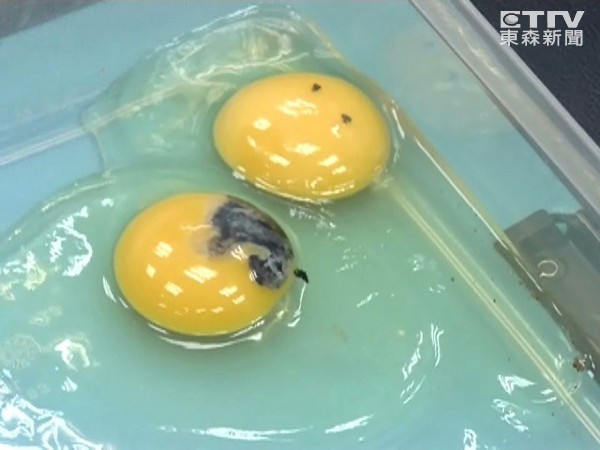 蛋疗术在东南亚很盛行,把生鸡蛋贴在人身上,只要这个人身体有病,鸡蛋就会变成熟鸡蛋。