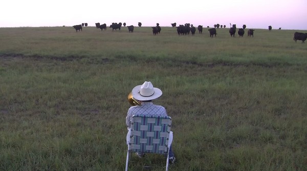 ��������˹��ũ�����˴����� ţȺ��������