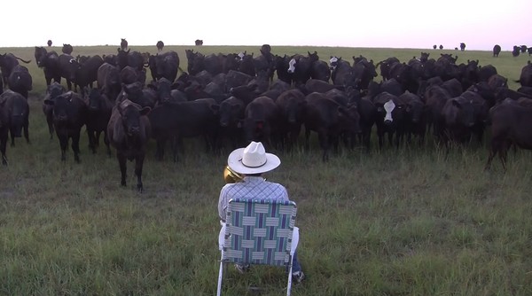 ��������˹��ũ�����˴����� ţȺ��������