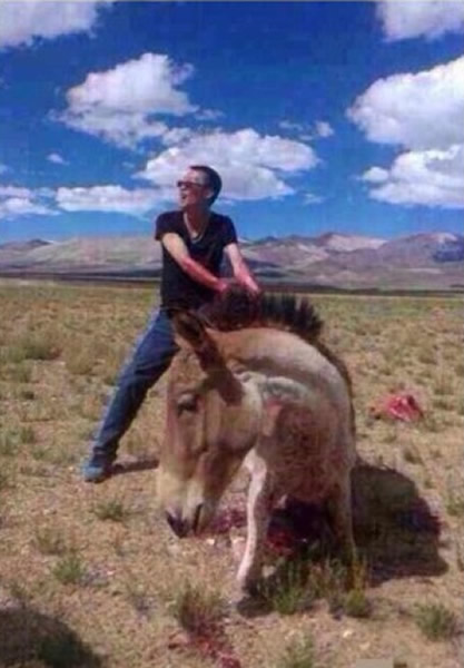 �������������ϣ���̬���ӻ���Ұ¿��