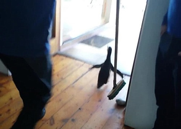 ����ձ��ϳ�����