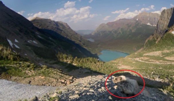 ������(��Ȧ)��ɽ������������ɵɵ���Ĵ�������