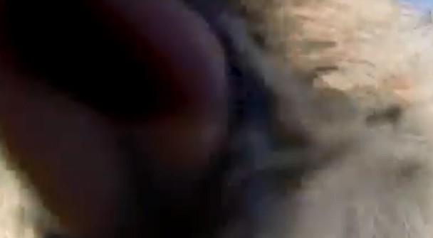 ����������Ӱ��ͷ�������˷ܿ���