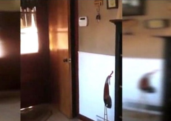 据称屋内的门会自动开关