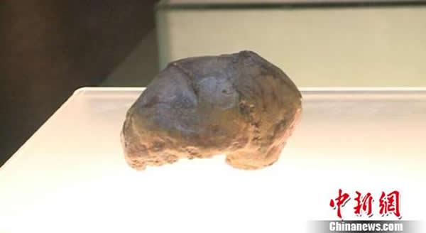 南京直立人化石