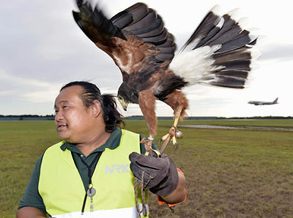 ѱӥ˼ӥܵԡѲߡKYODO