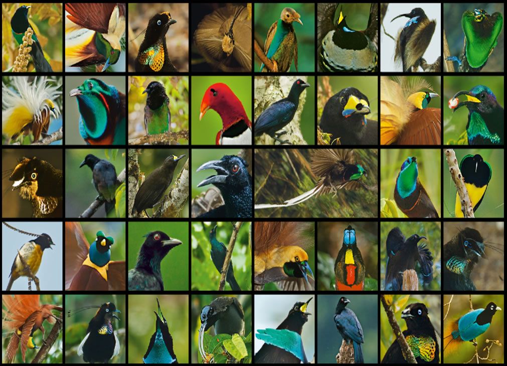 ������ƹ���15��39�֣������������¼�����������Χ���켰���޶�Ե���ֲ���Χ������͵ص�����3500�������ϵ������֡� PHOTOS BY TIM LAMAN