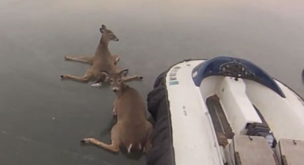 С¹ڱϡѡǰС¹硰ְڱ档